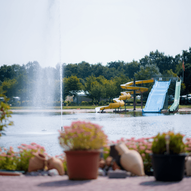 Ontwerp zonder titel 6